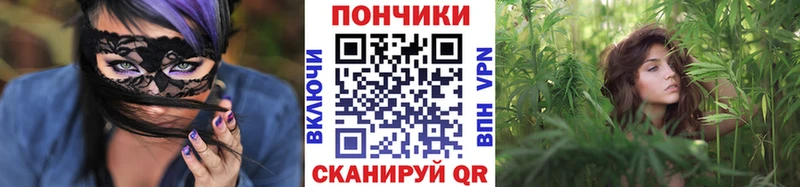ГАШ Сурск