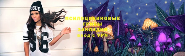 спайс Абаза