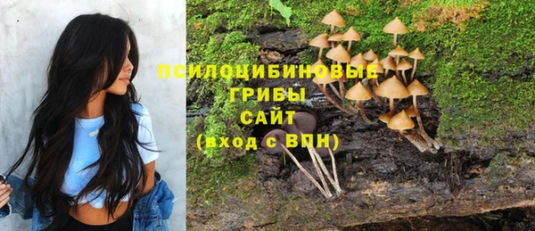 mdpv Алзамай